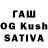 Галлюциногенные грибы Cubensis ew1075