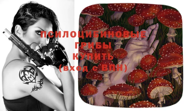 каннабис Арсеньев
