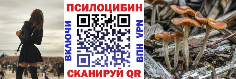 Купить где Сарапул Галлюциногенные грибы Magic Shrooms