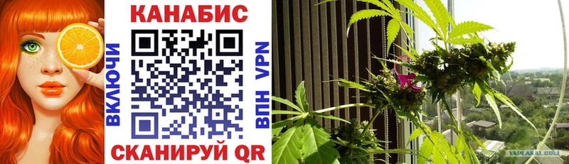 Купить  Сарапул  Каннабис SATIVA & INDICA 